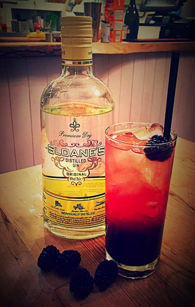blackberries with sloanes gin