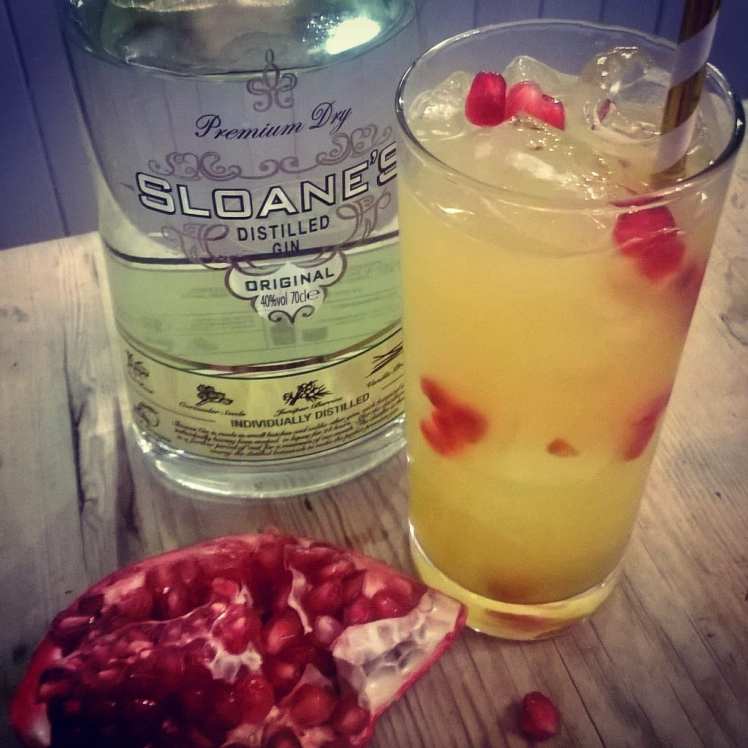 citrus cocktail sloeanes gin