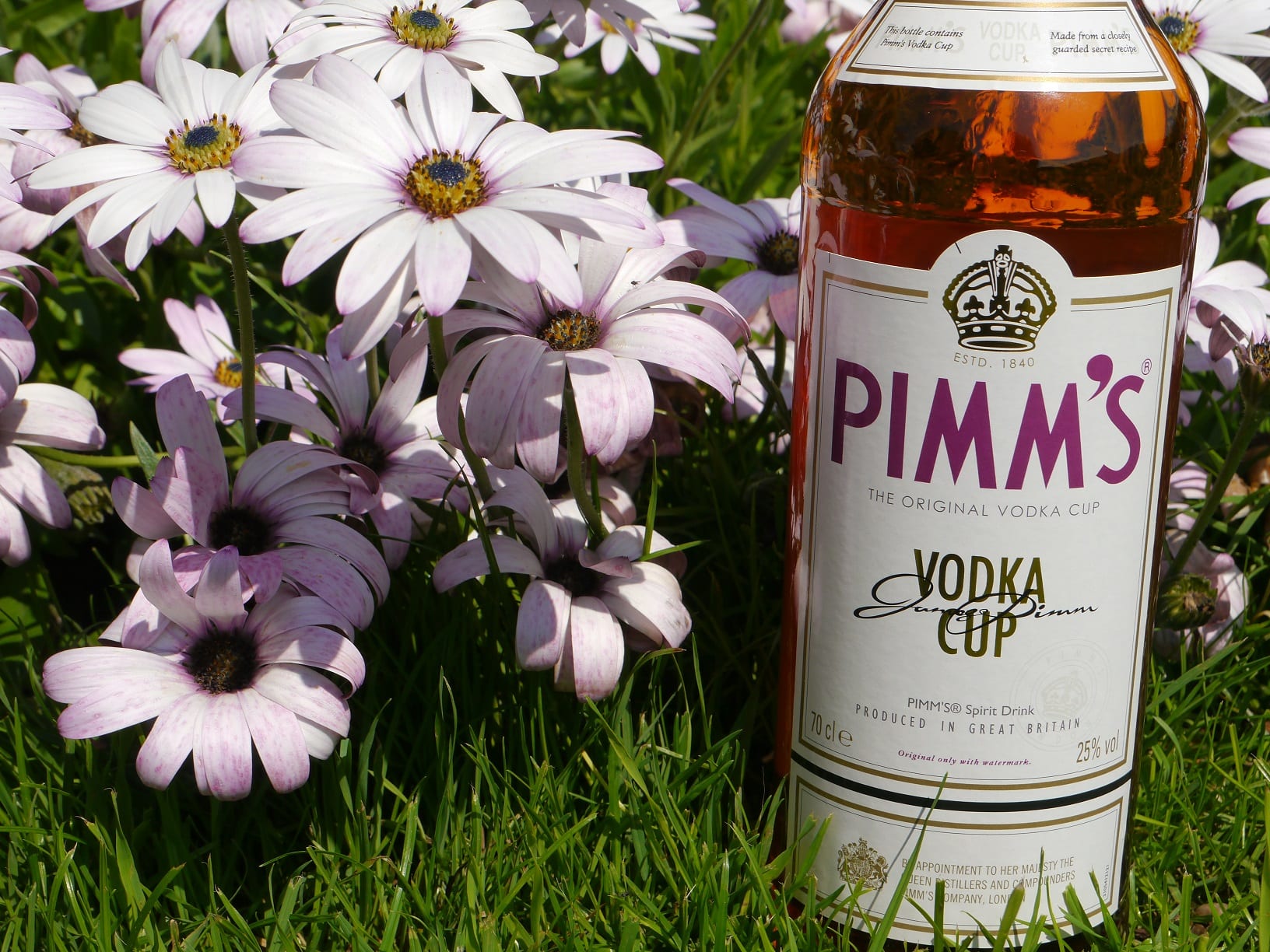 Vodka Pimms Cup