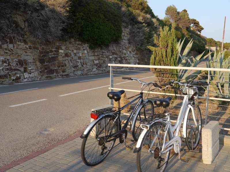 bikes