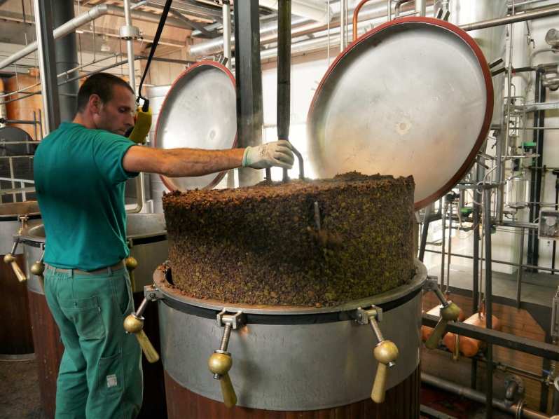 grappa-production