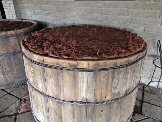 mezcal-fermentation-process