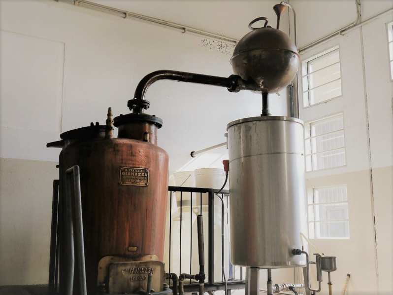 bepi-tosolini-botanical-still