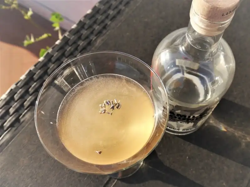Lavender Martini with gin
