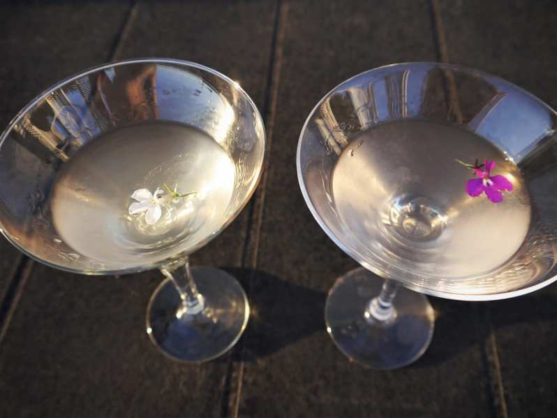 Martini cocktails