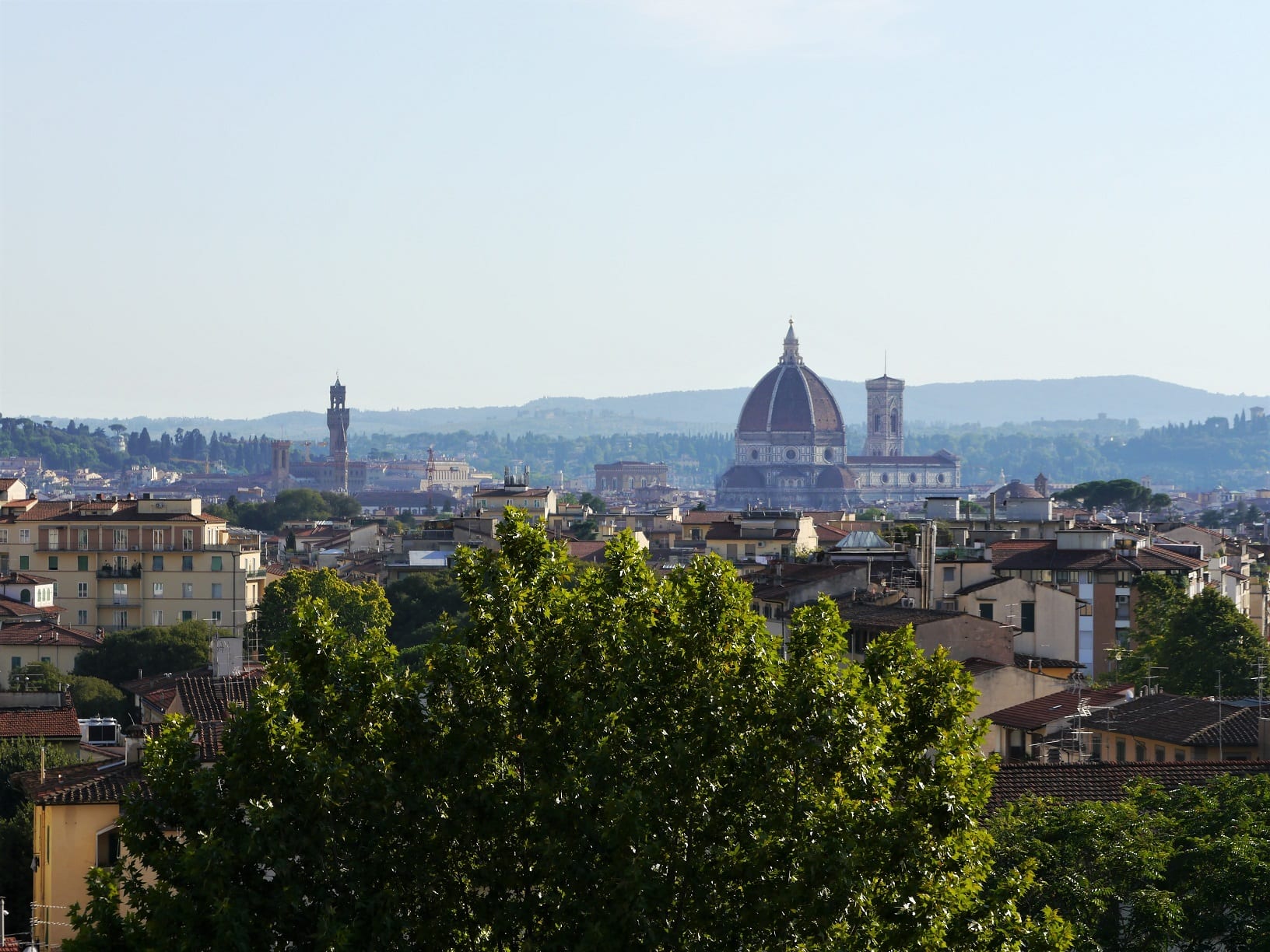 View over Florence