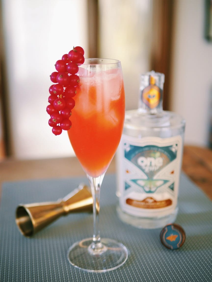 Floradora with One Gin