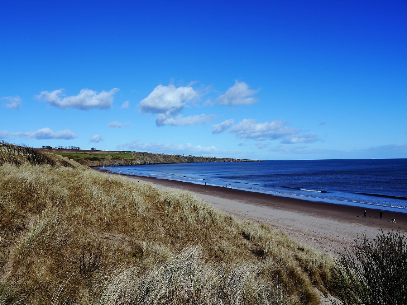 Lunan Bay