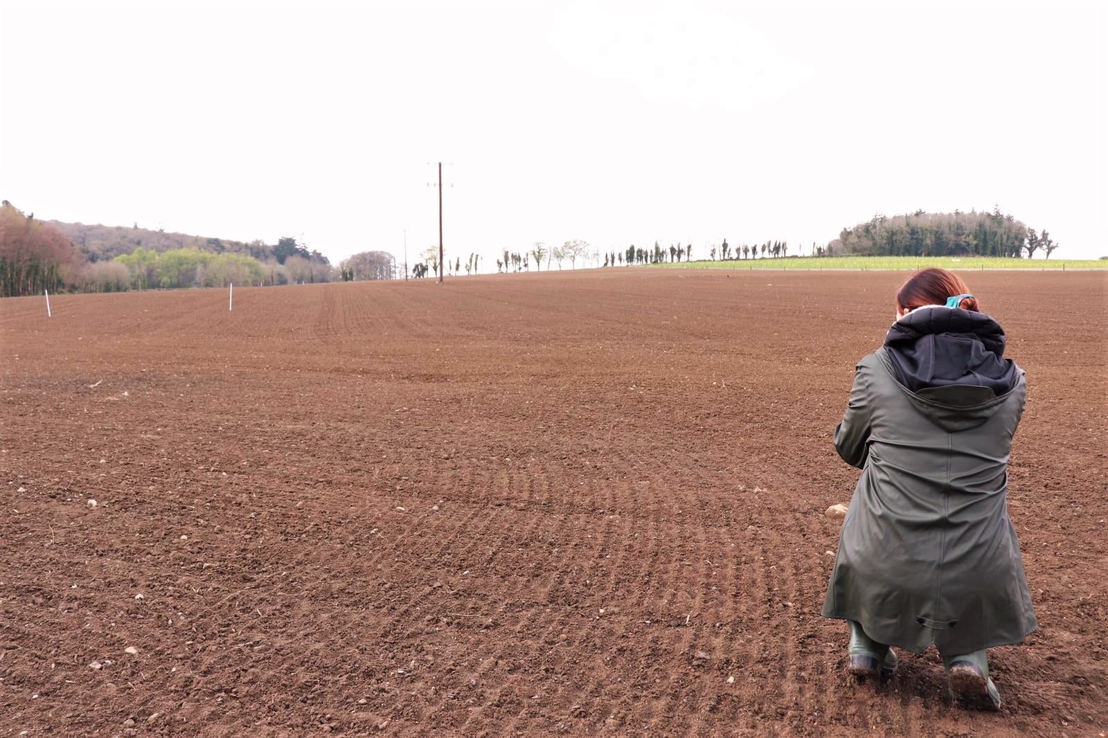 exploring terroir