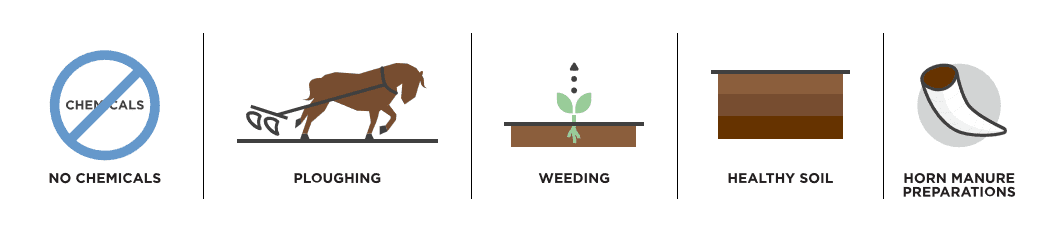how biodymanic farming impact terroir