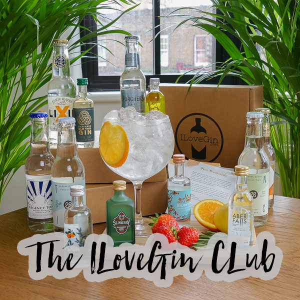 gin Christmas gift