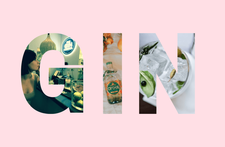 Large letters with photos to spell gin