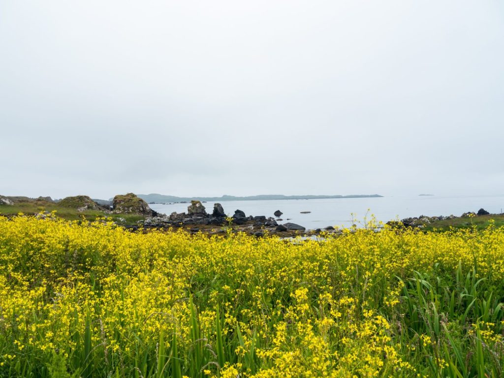 Islay nature