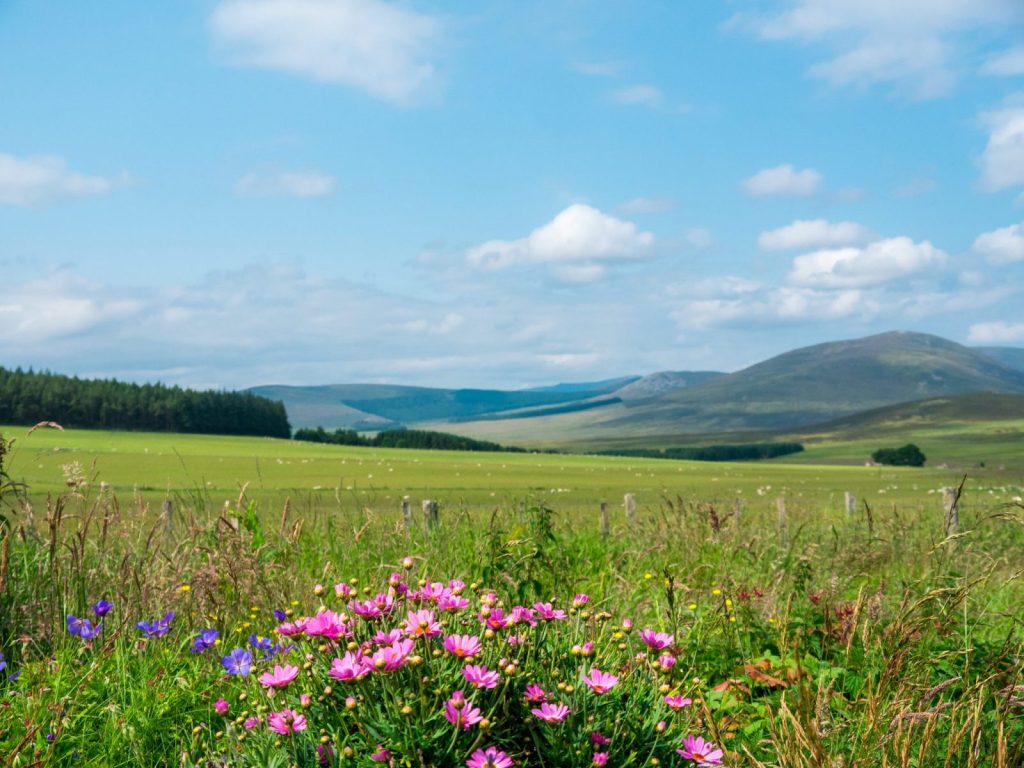 Speydide countryside