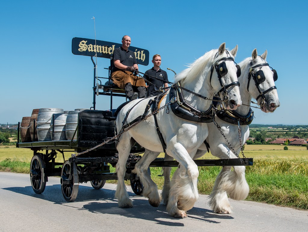 brewery horses