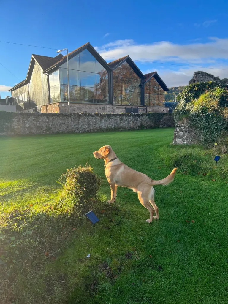 Lindores abbey