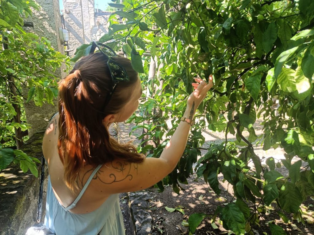 Lemon house La Malora