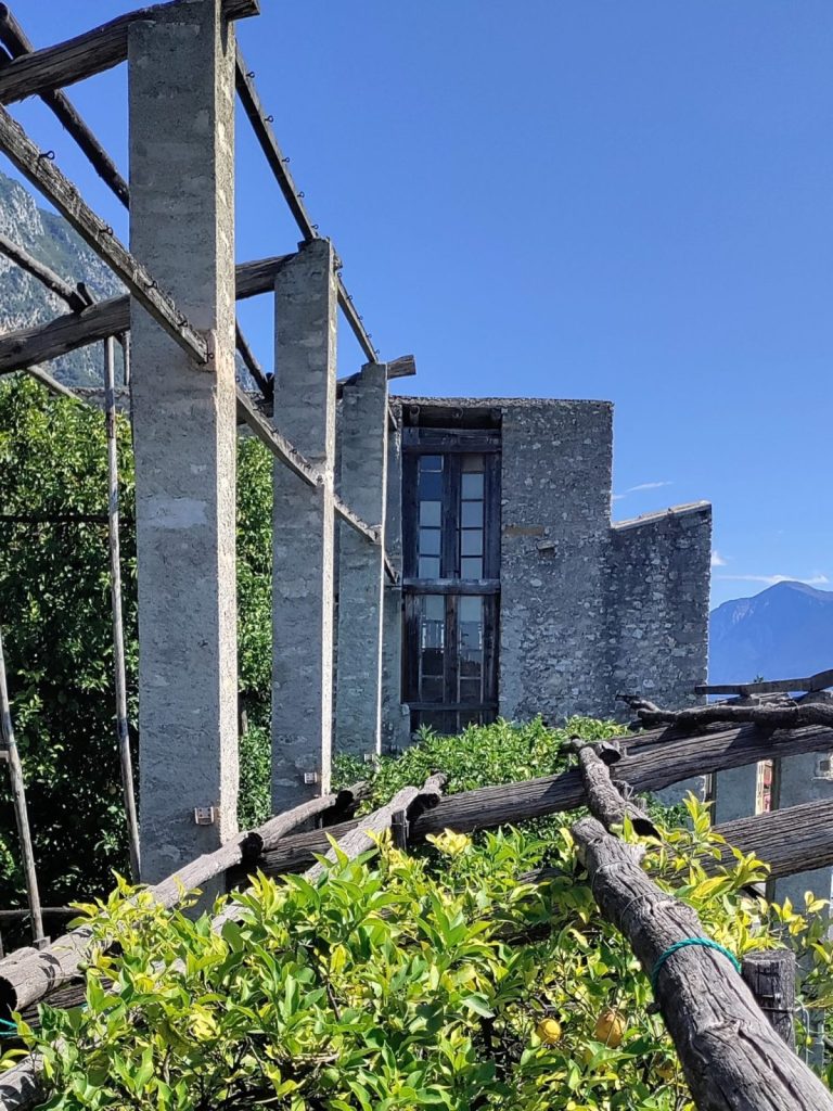 lemon house structure