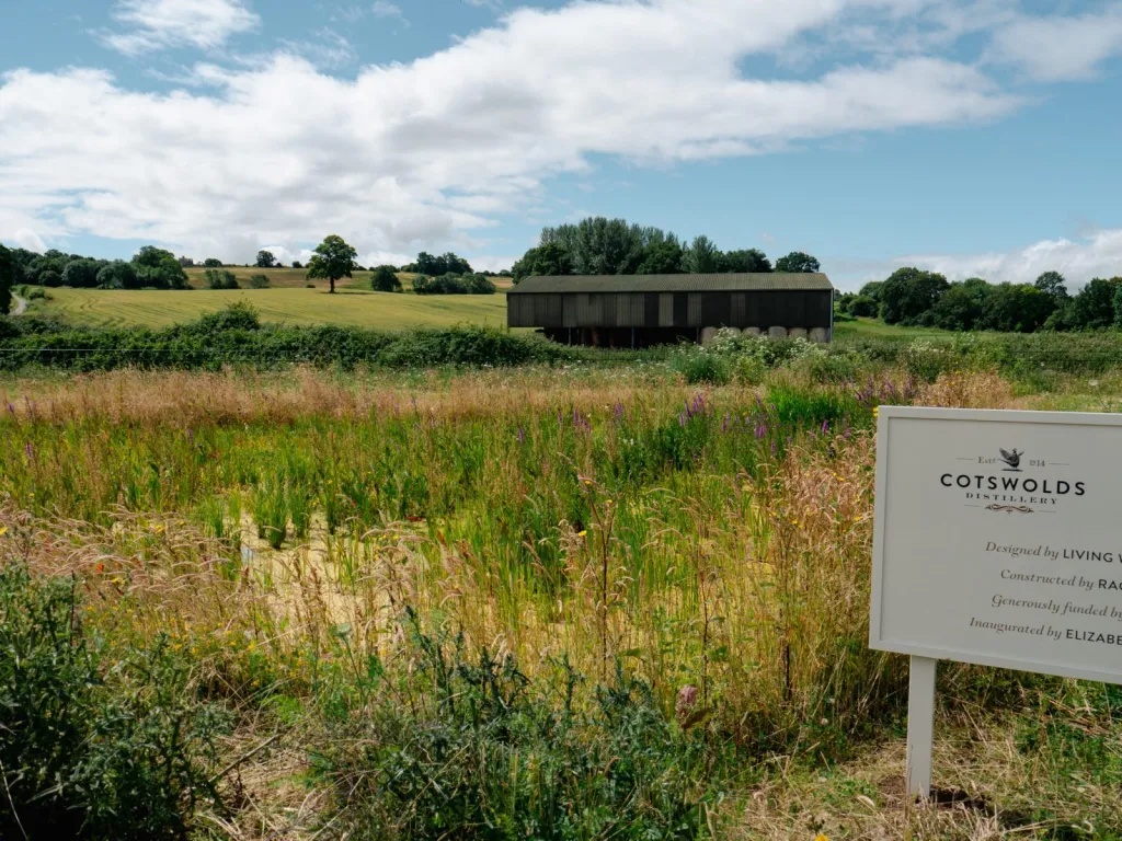 wetlands and meadows
