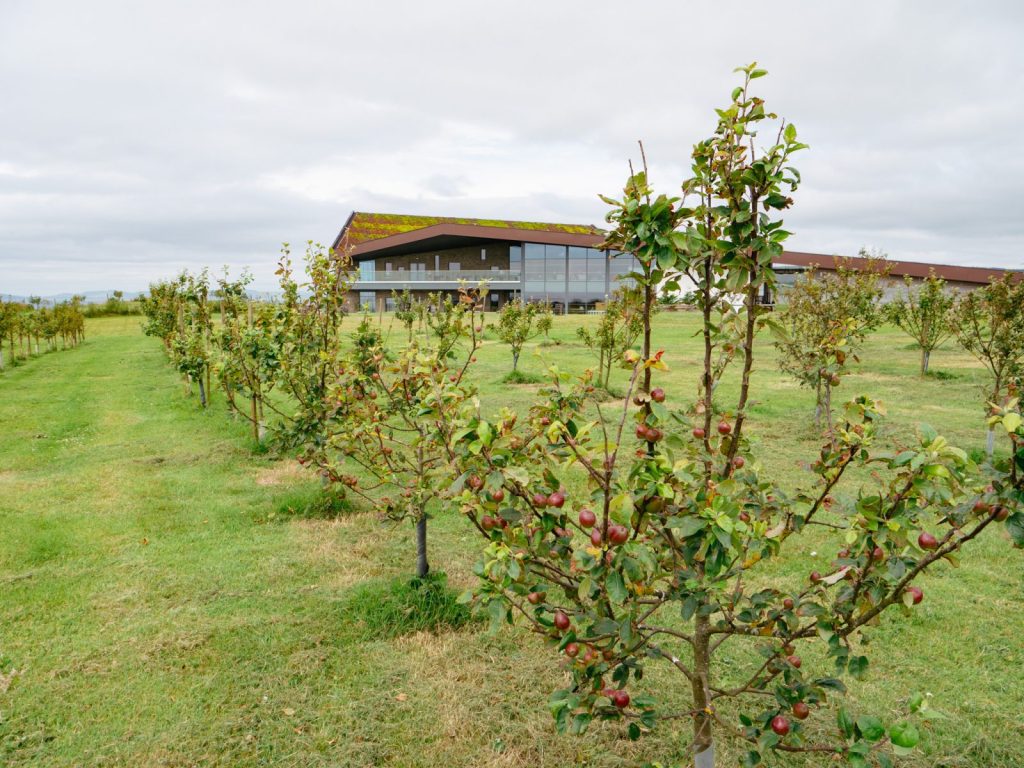 Apple orchards on Arran