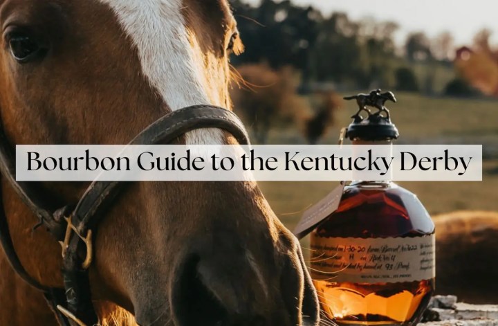 horse with a bottle of blanton's whiskey