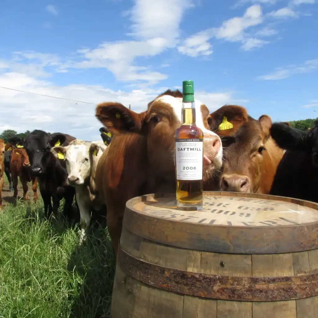 daftmill independent farm distillery