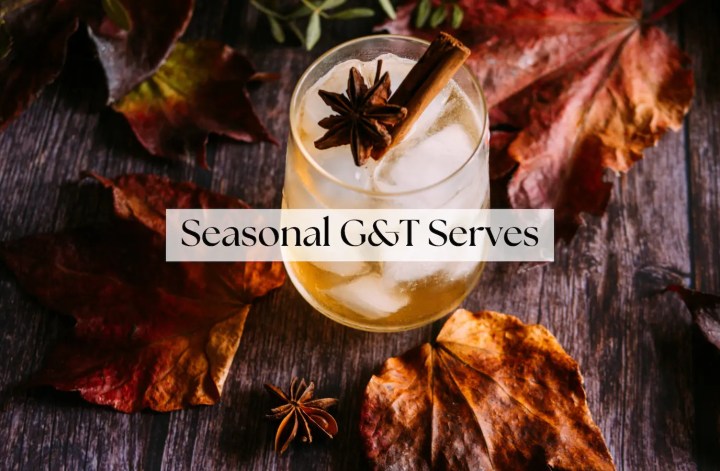 autumn gin and tonic serve