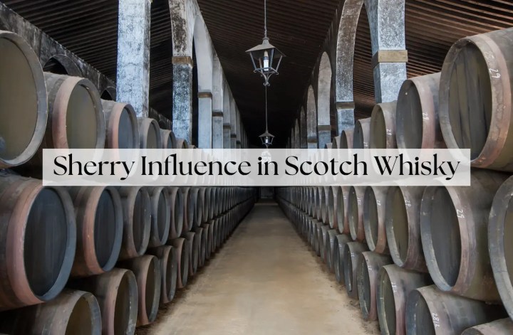 sherry casks in bodega warehouse