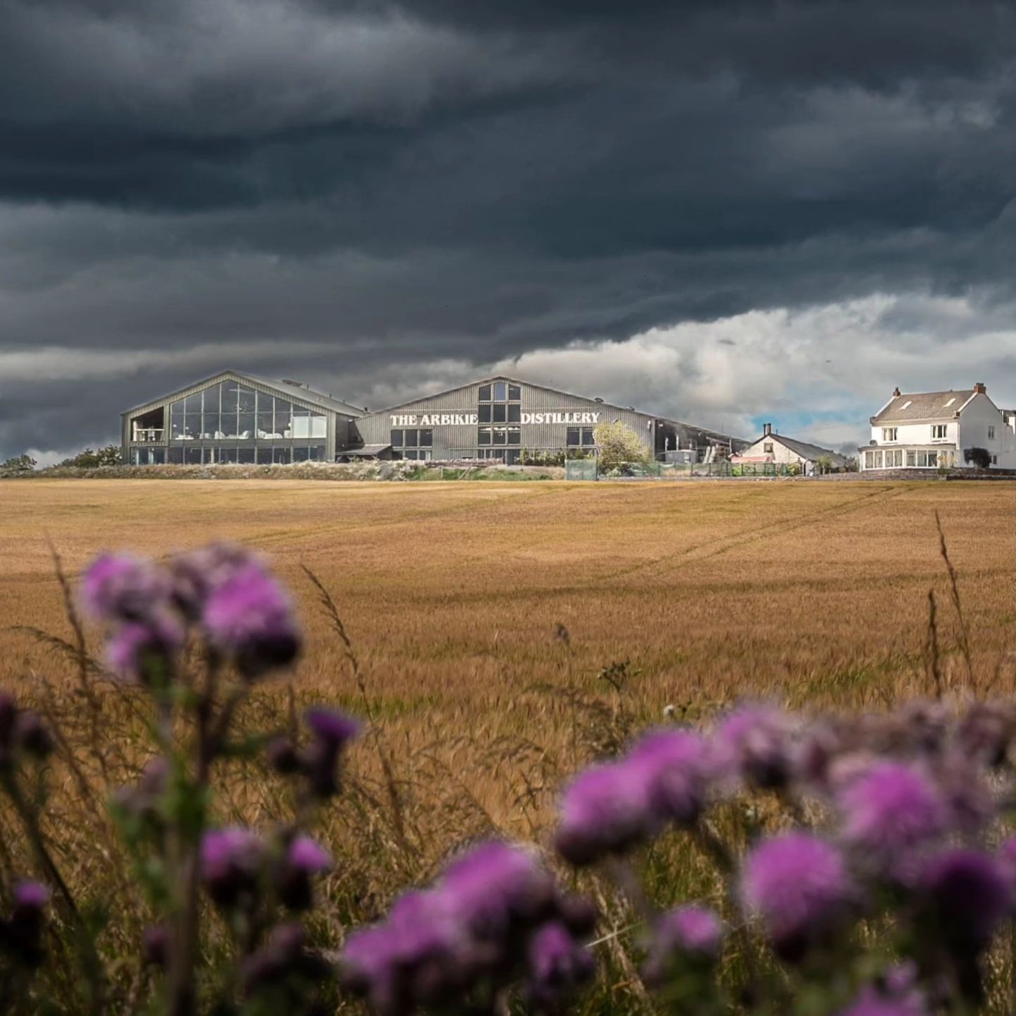 Independent farm distillery Arbikie in the storm